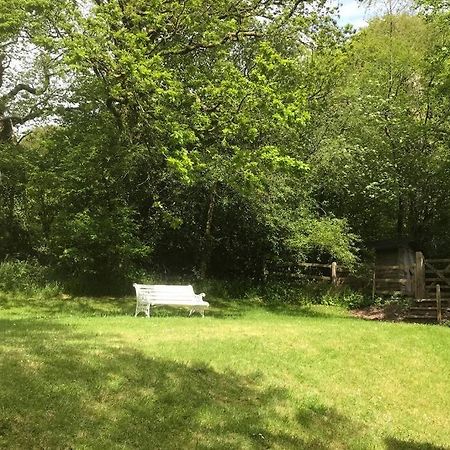 Peaceful Cottage, Close To Coast & Moor Parracombe Extérieur photo