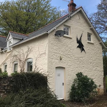 Peaceful Cottage, Close To Coast & Moor Parracombe Extérieur photo